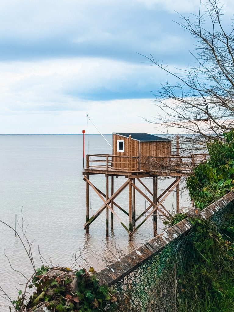 Madame la Mouette Média - Photographe culinaire professionelle Charente-Maritime, La Rochelle, Saintes, Royan, Ile d'Oléron, Ile de Ré, Niort Bordeaux